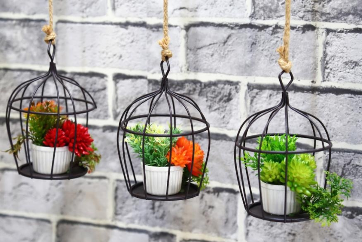 15 ý tưởng làm vườn treo trong nhà