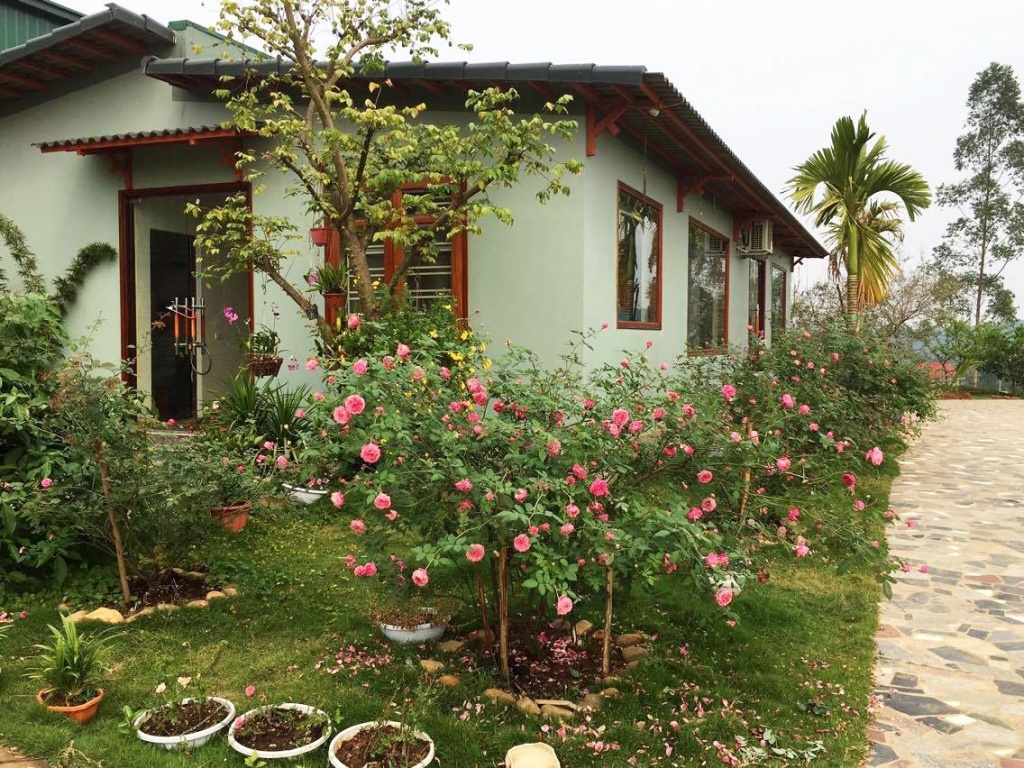 Bán 3 lô Đất Đường Âu Cơ nha Trang đường ô tô giá rẻ. 0987979636