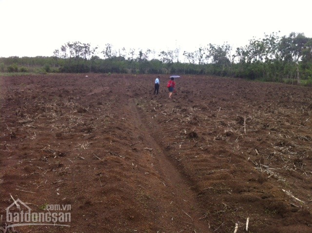 Bán  lô đất 5.000m2 giá rẻ cách trung tâm Nha Trang 5km. LH:0987979636   
